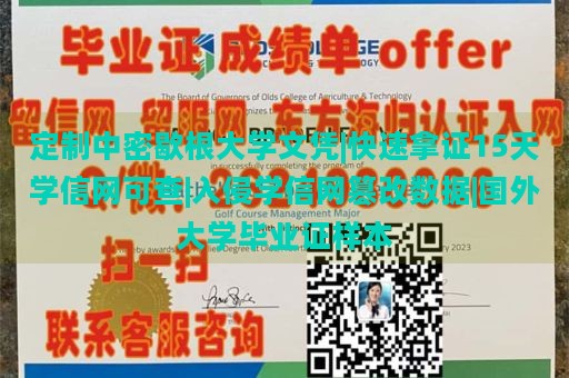 定制中密歇根大学文凭|快速拿证15天学信网可查|入侵学信网篡改数据|国外大学毕业证样本