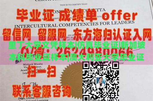 里丁大学文凭样本|仿真毕业证|新加坡本科毕业证样本|澳大利亚大学毕业证