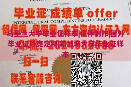 马里兰大学毕业证样本|证件制作|国外毕业证外壳定制|新加坡大学毕业证样本